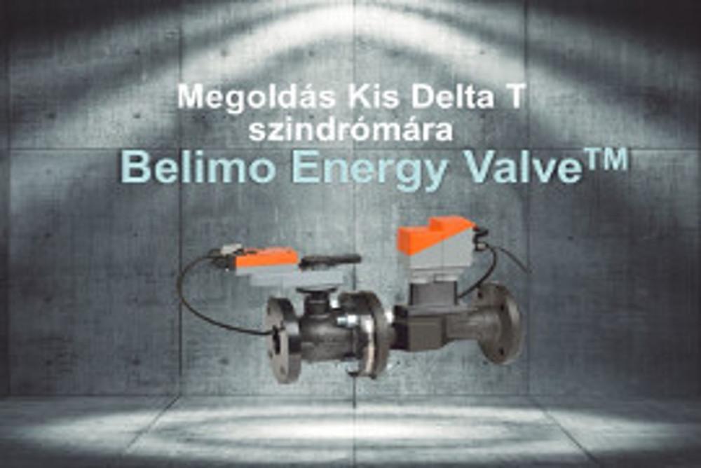 Belimo Energy Valve