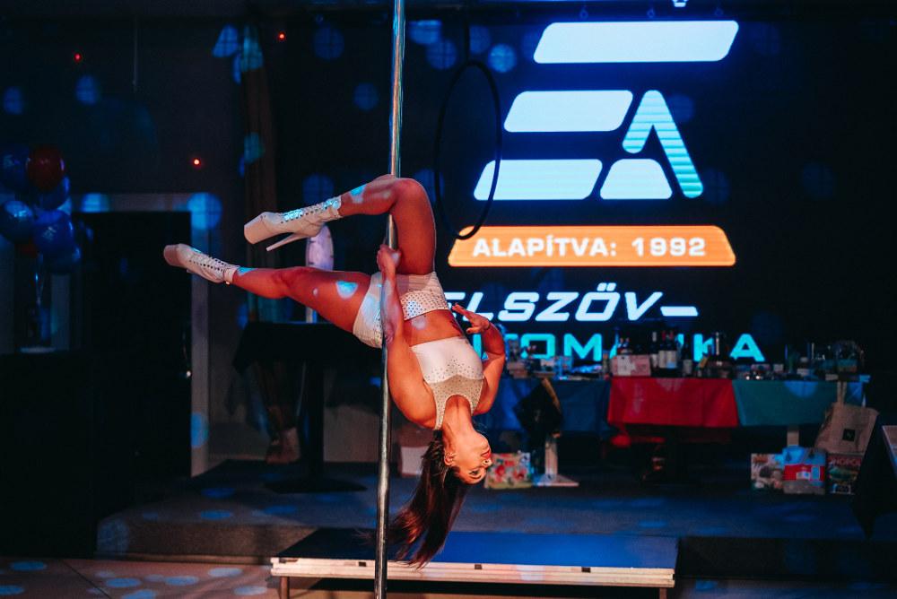 elszöv_party
